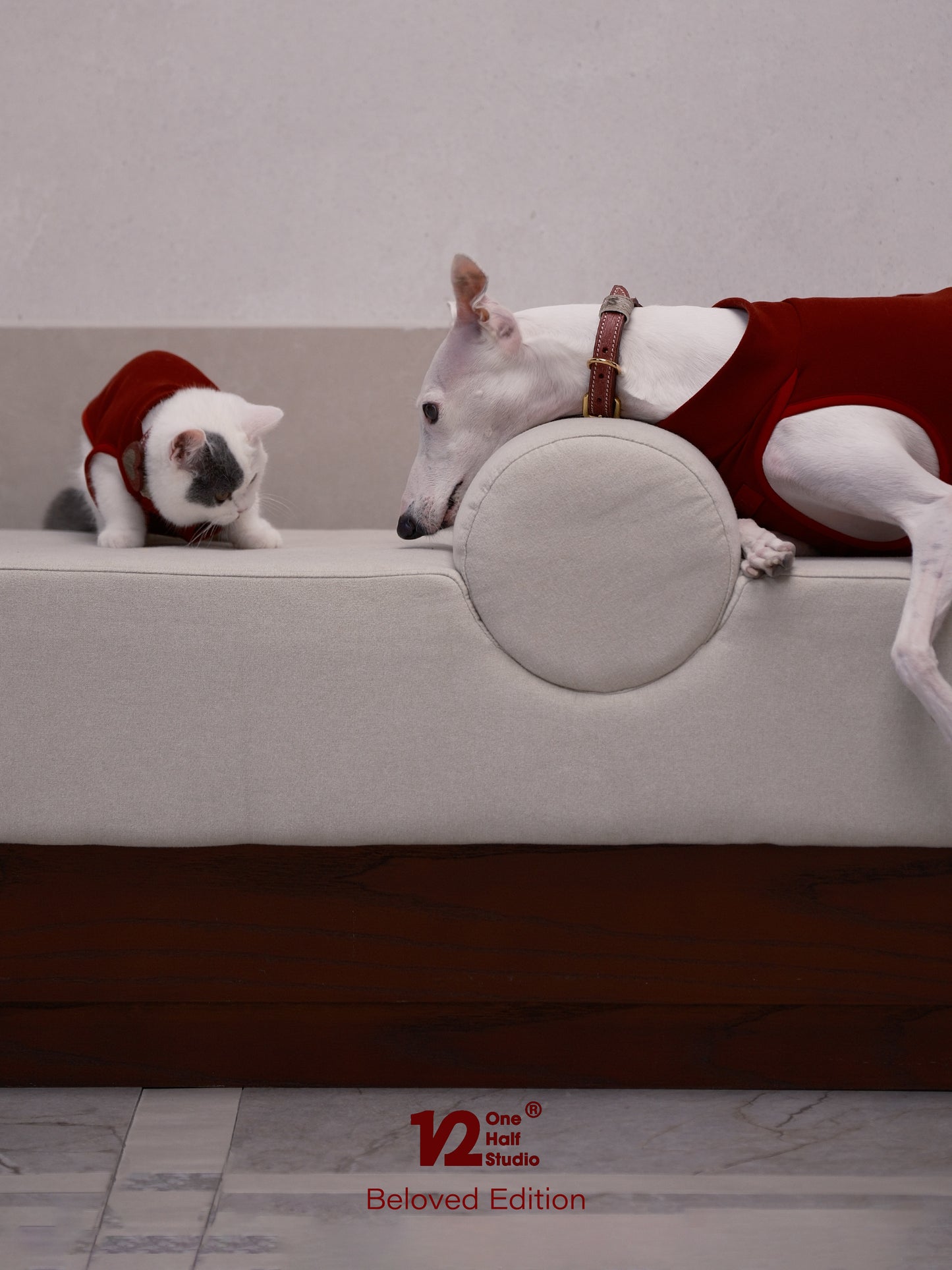Rouge Vest Pet styling detail | AlphaFluffy