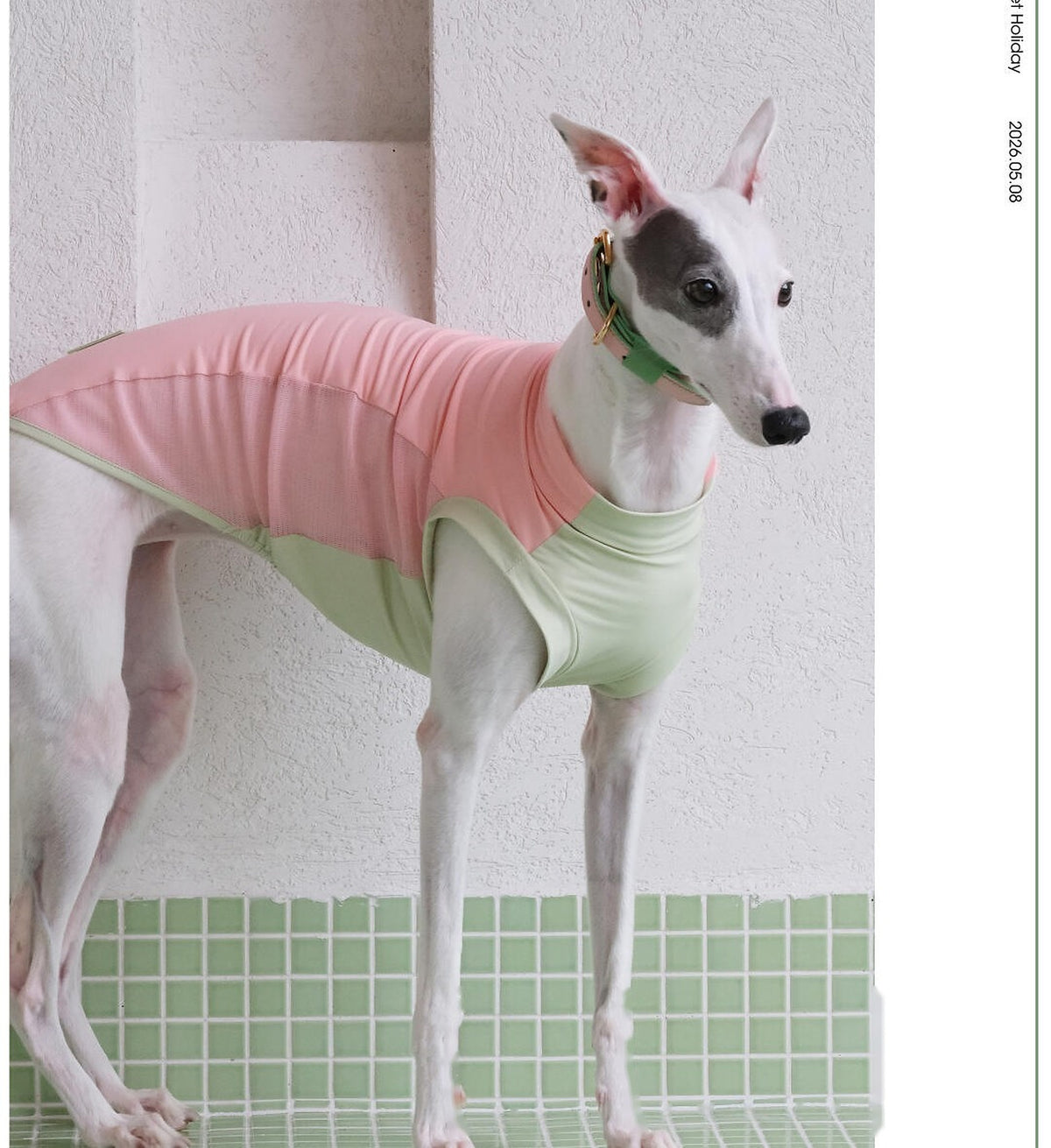 AlphaFluffy Sighthound Cooling Vest — Guava Pink