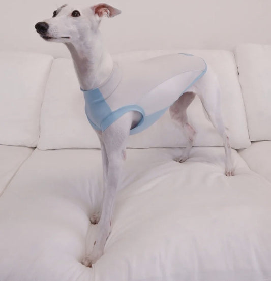 AlphaFluffy Sighthound Cooling Vest — Blue Lagoon - AlphaFluffy