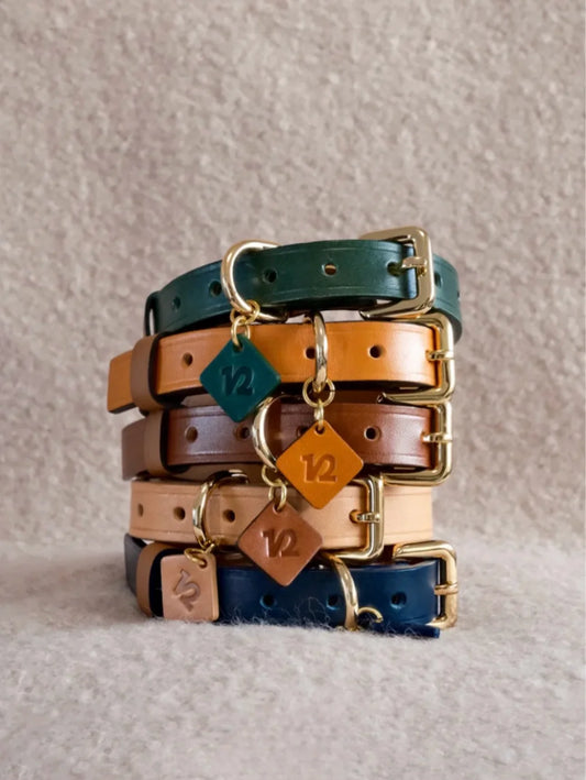 How to Choose the Perfect Leather Dog Collar: A Complete Guide