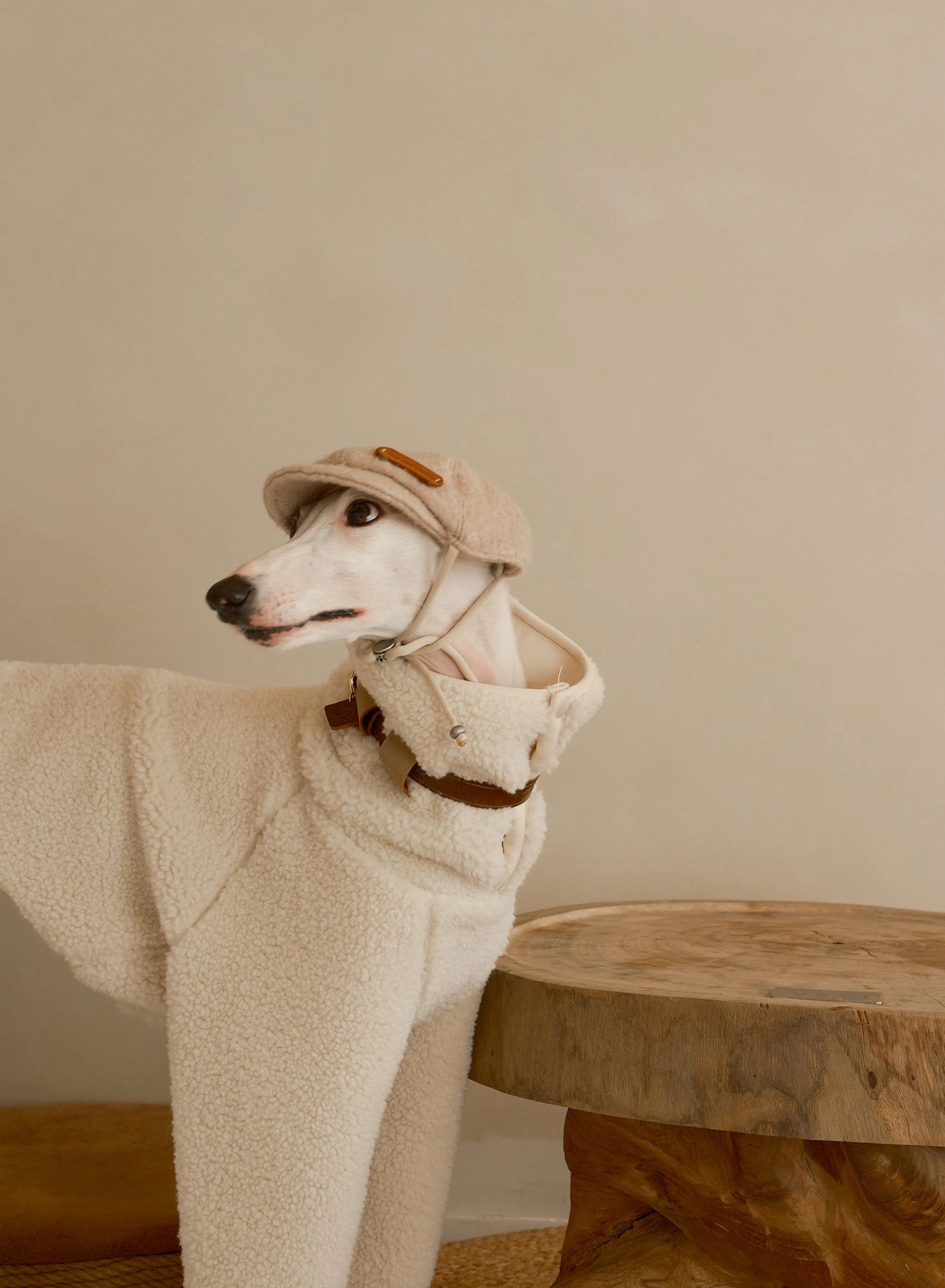 100% sherpa fleece sweater dog onesizs sheeps wool 