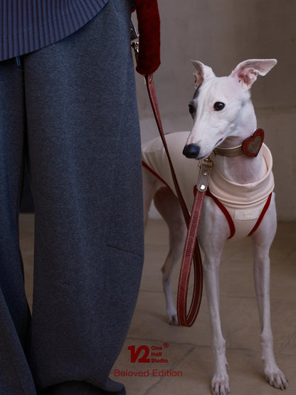 Italian Fujiyama Heart Collar Pet Collar