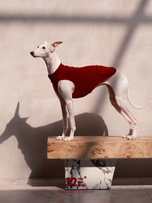 Rouge Vest Pet front view – AlphaFluffy - AlphaFluffy