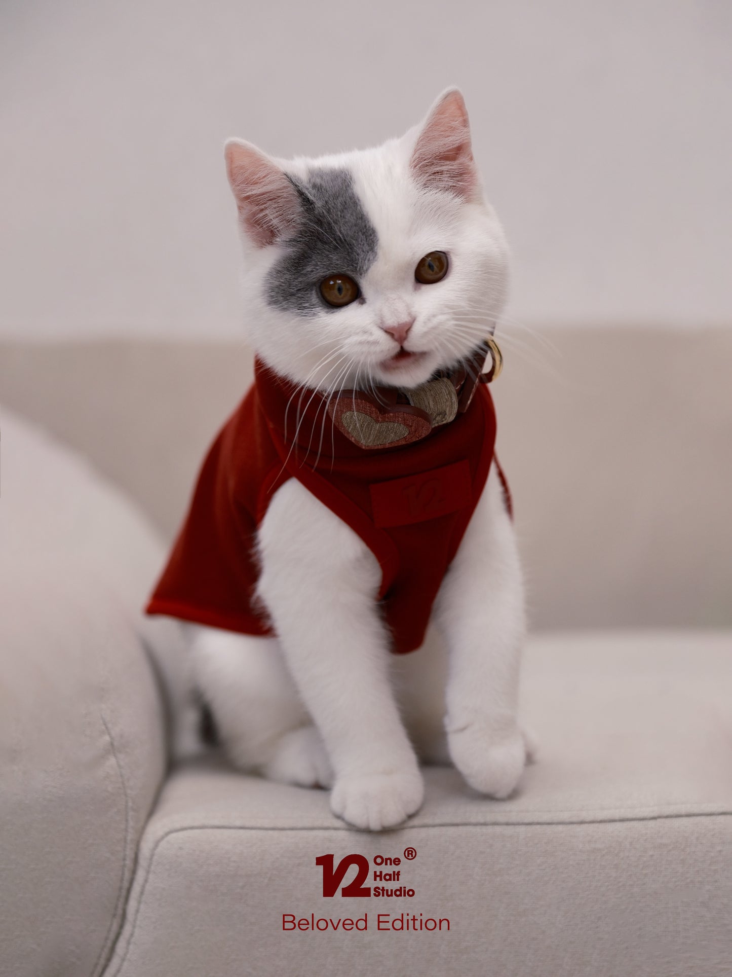 Italian Fujiyama Heart Collar Pet Collar