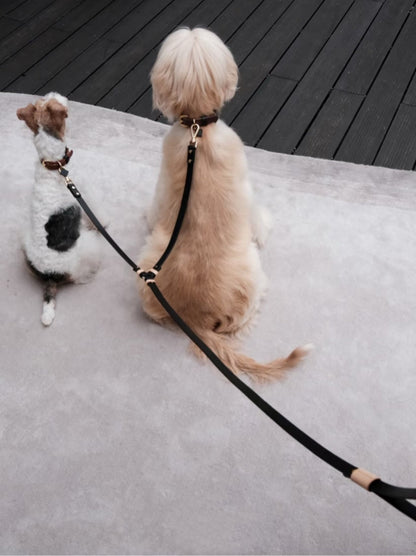 Black Dual-Leash Pet Leash