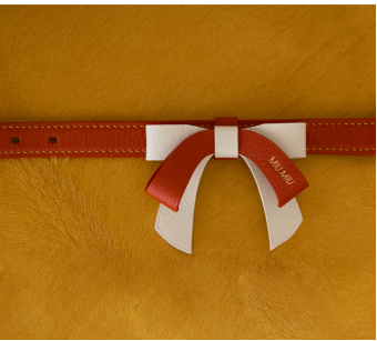 a personalized leather collar featuring red accents, part of a designer dog collar and leash collection. Ideal for cute dog collars, cool puppy collars, or cat collars in a New Year design.