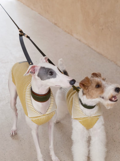 Double Headed Traction Rope