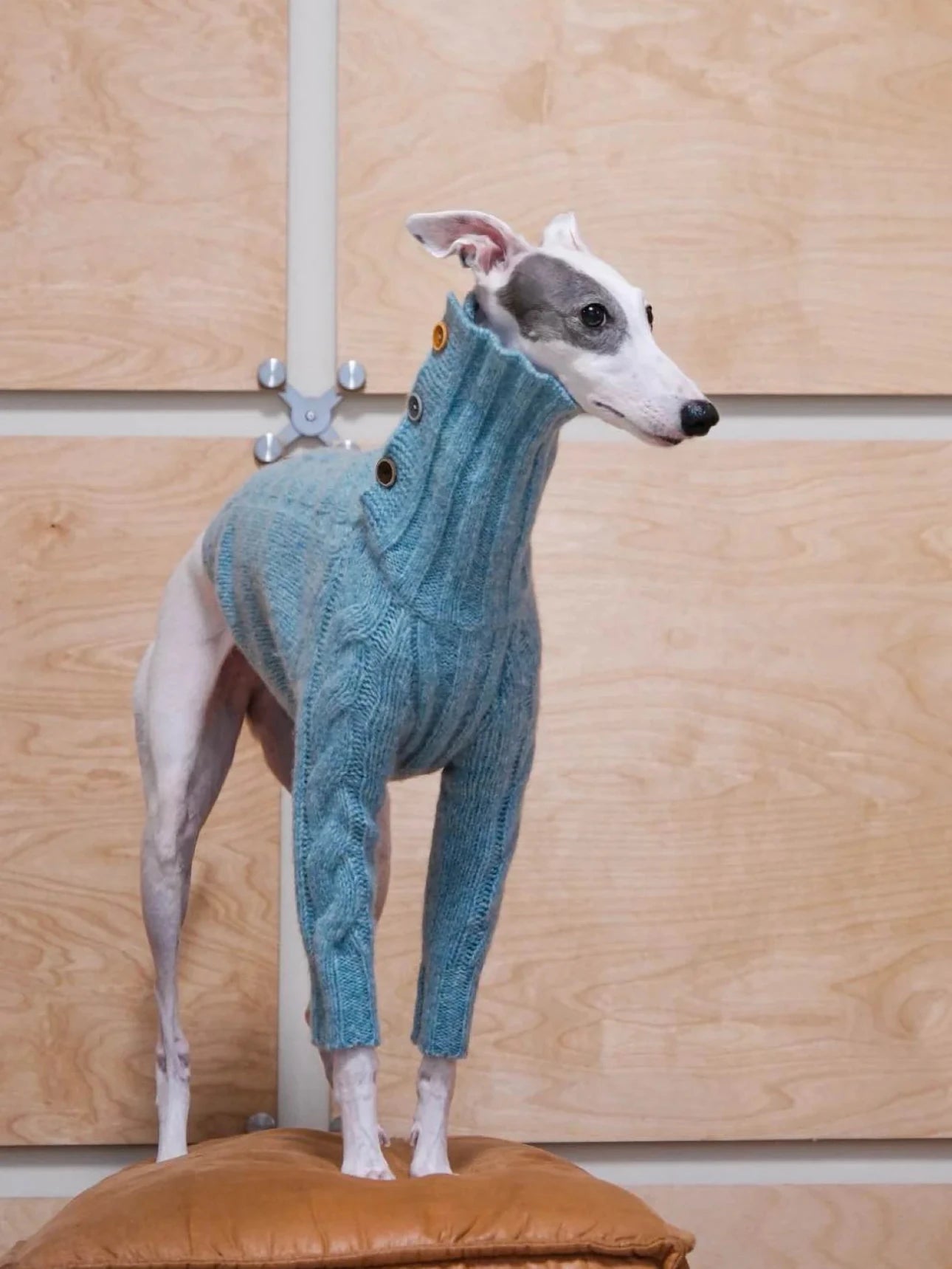Cloud Two-Legged Wool Pet Sweater – Dog & Cat Knitwear