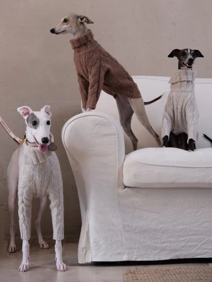 Cloud Two-Legged Wool Pet Sweater – Dog & Cat Knitwear