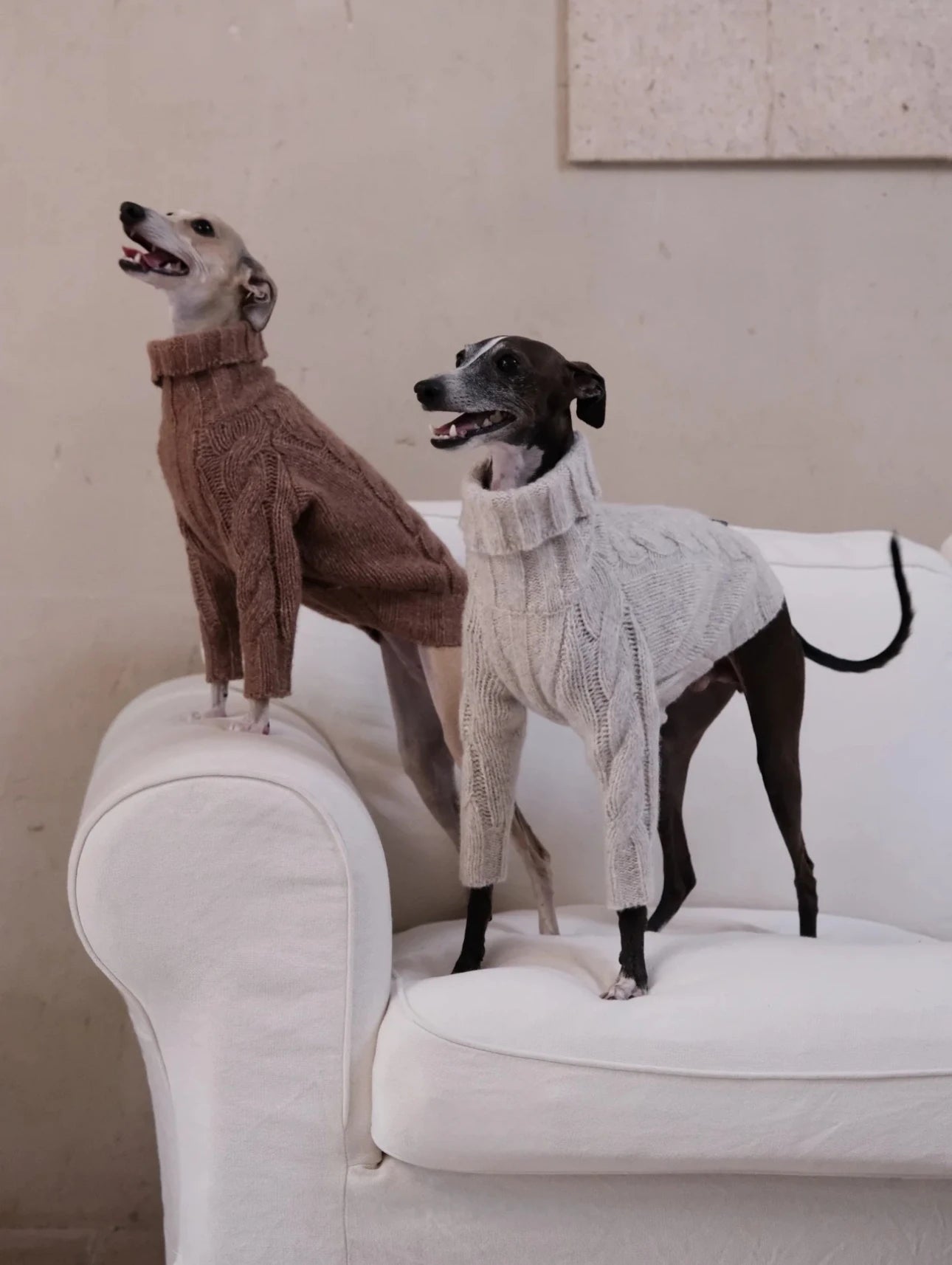 Cloud Two-Legged Wool Pet Sweater – Dog & Cat Knitwear