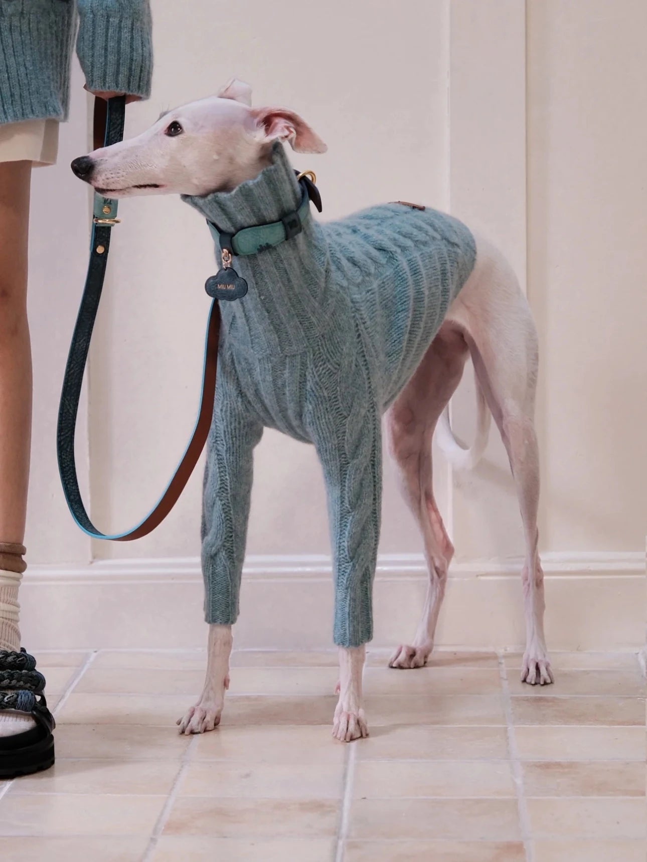 Cloud Two-Legged Wool Pet Sweater – Dog & Cat Knitwear