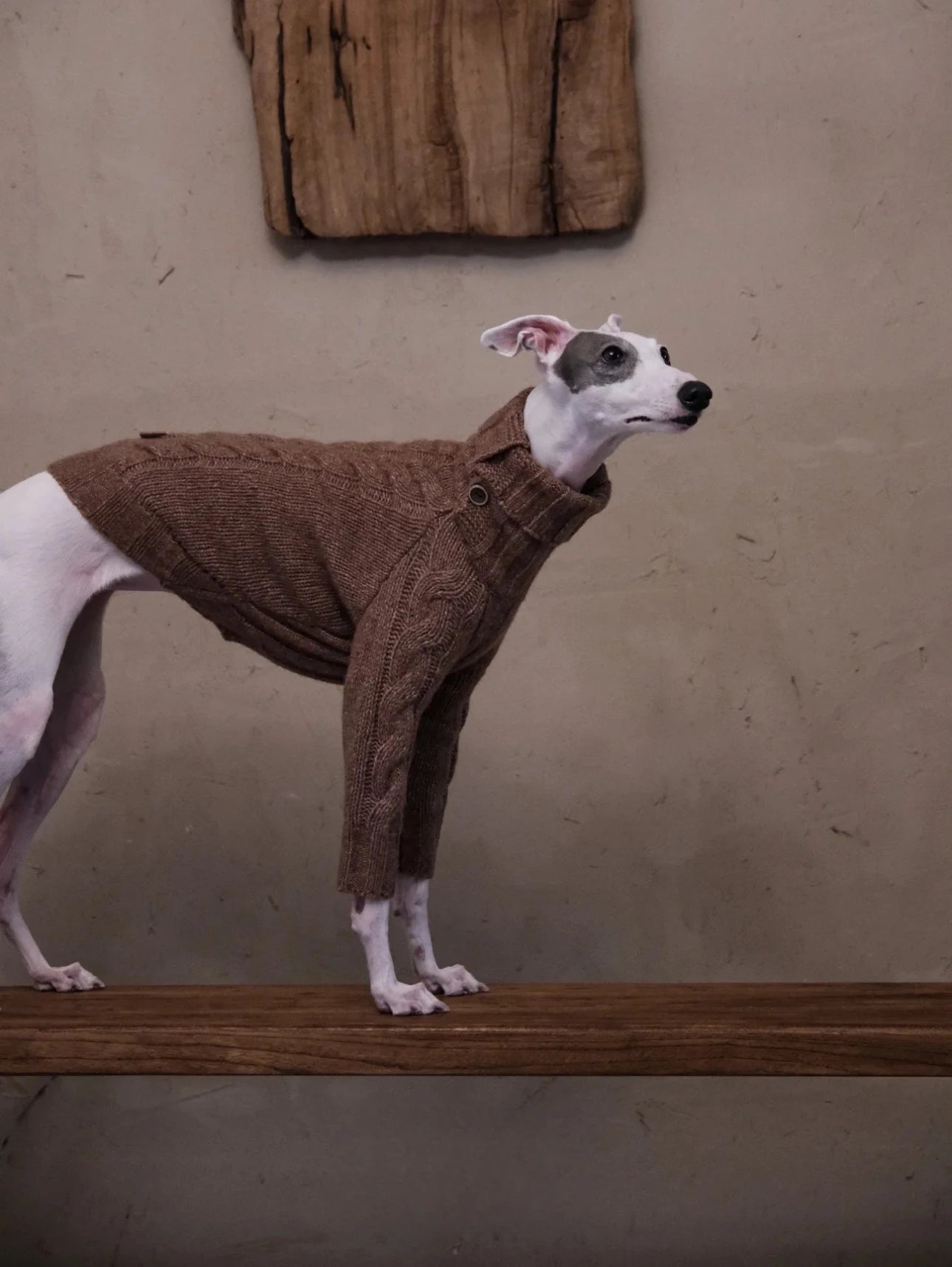 Cloud Two-Legged Wool Pet Sweater – Dog & Cat Knitwear