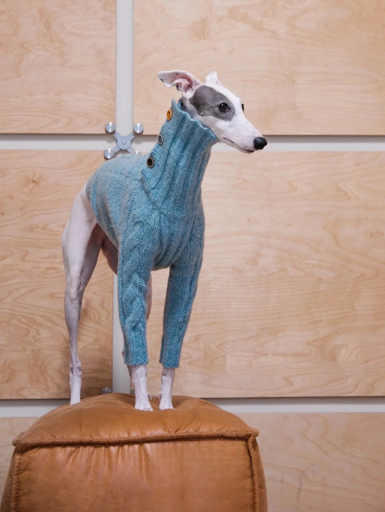 Cloud Two-Legged Wool Pet Sweater – Dog & Cat Knitwear