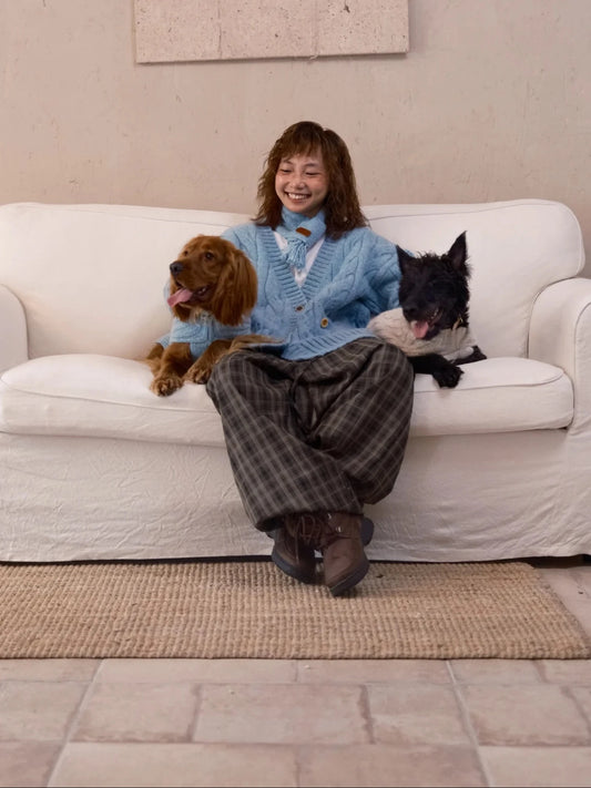 Cloud Sleeveless 100% Wool Sweater for Dogs – Small & Medium Breeds