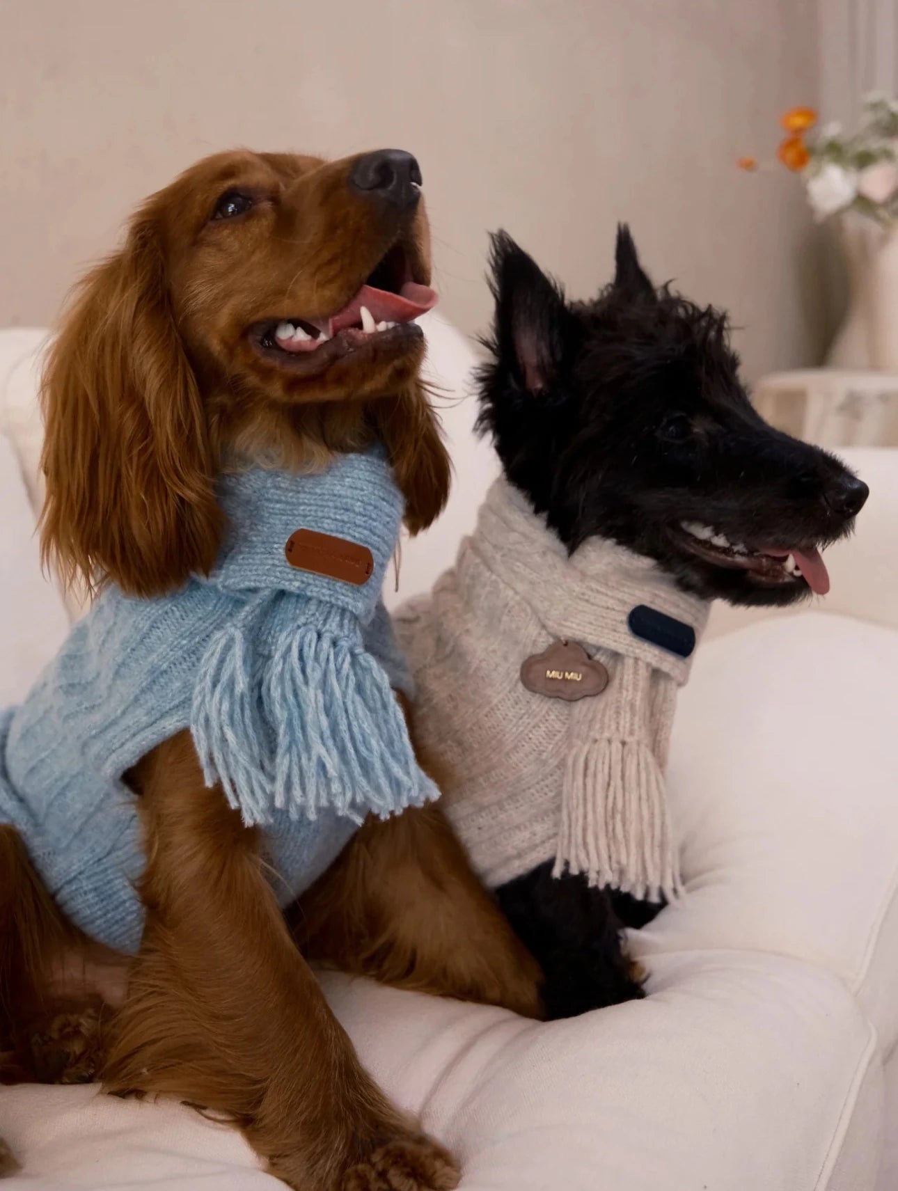 Cloud Sleeveless 100% Wool Sweater for Dogs – Small & M front view – AlphaFluffy