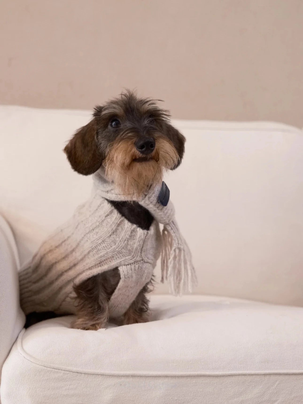 Cloud Sleeveless 100% Wool Sweater for Dogs – Small & M close-up – AlphaFluffy