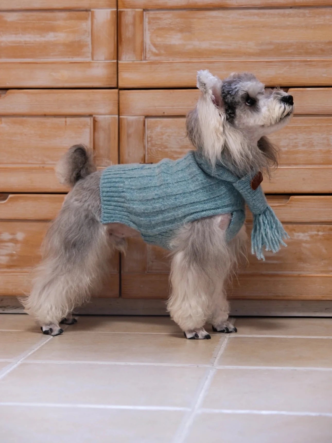 Cloud Sleeveless 100% Wool Sweater for Dogs – Small & M back view – AlphaFluffy