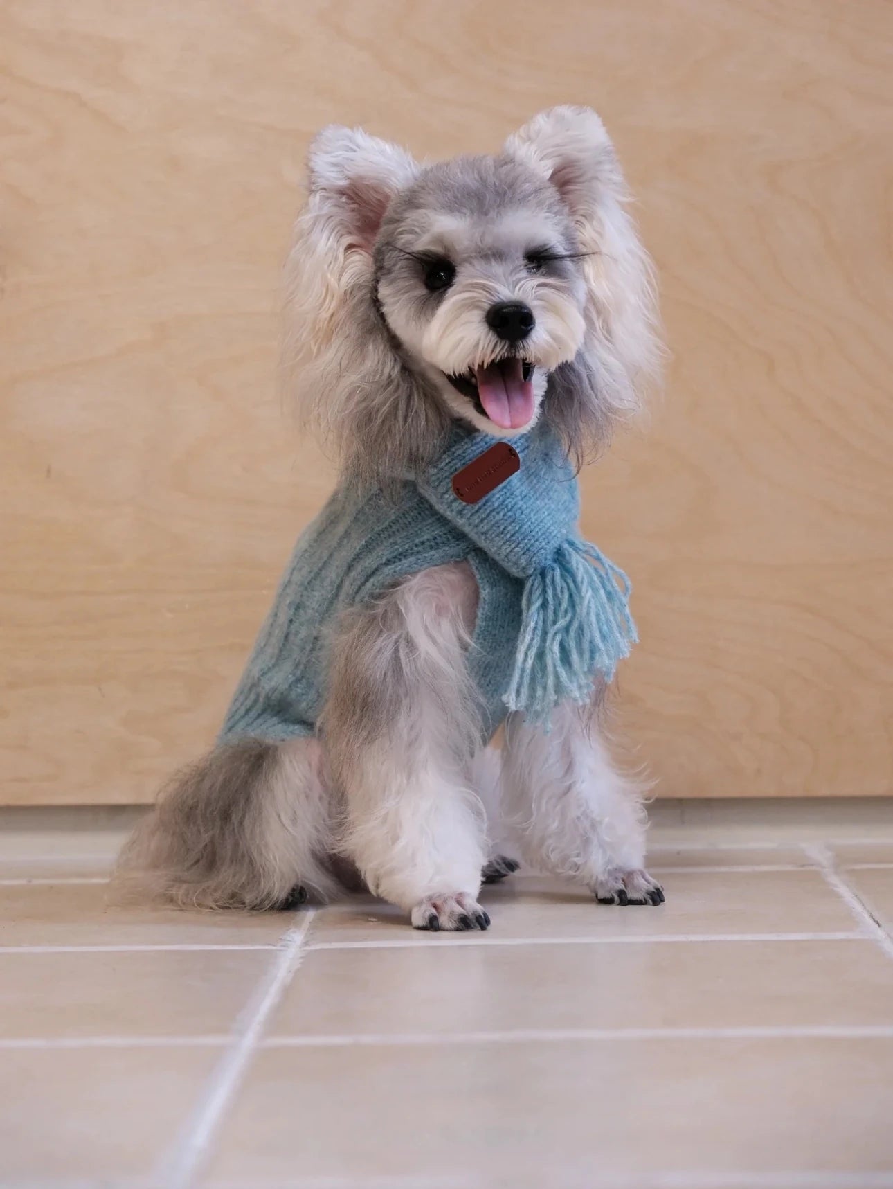 Cloud Sleeveless 100% Wool Sweater for Dogs – Small & M product shot – AlphaFluffy
