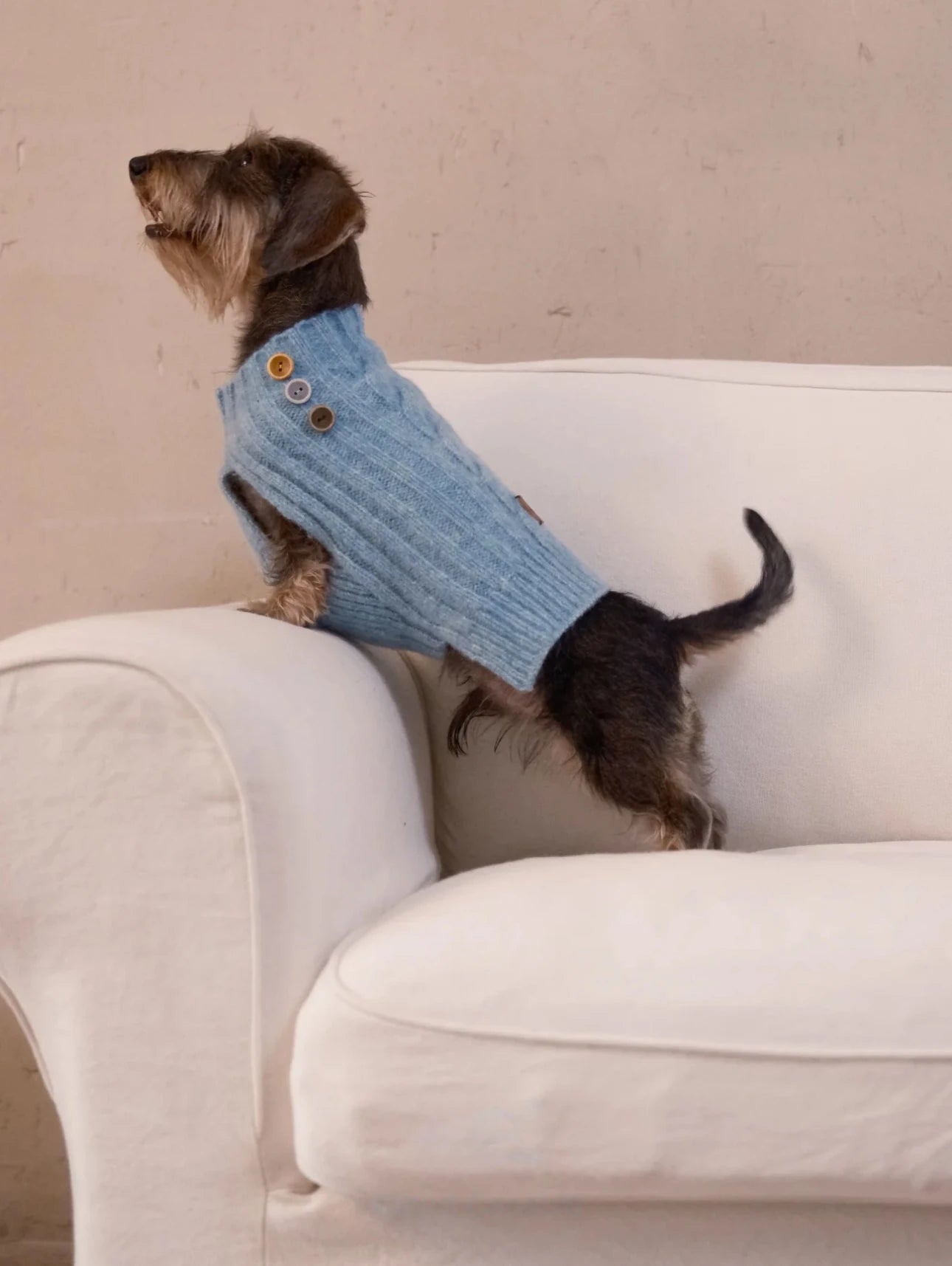 Cloud Sleeveless 100% Wool Sweater for Dogs – Small & Medium Breeds full view | AlphaFluffy