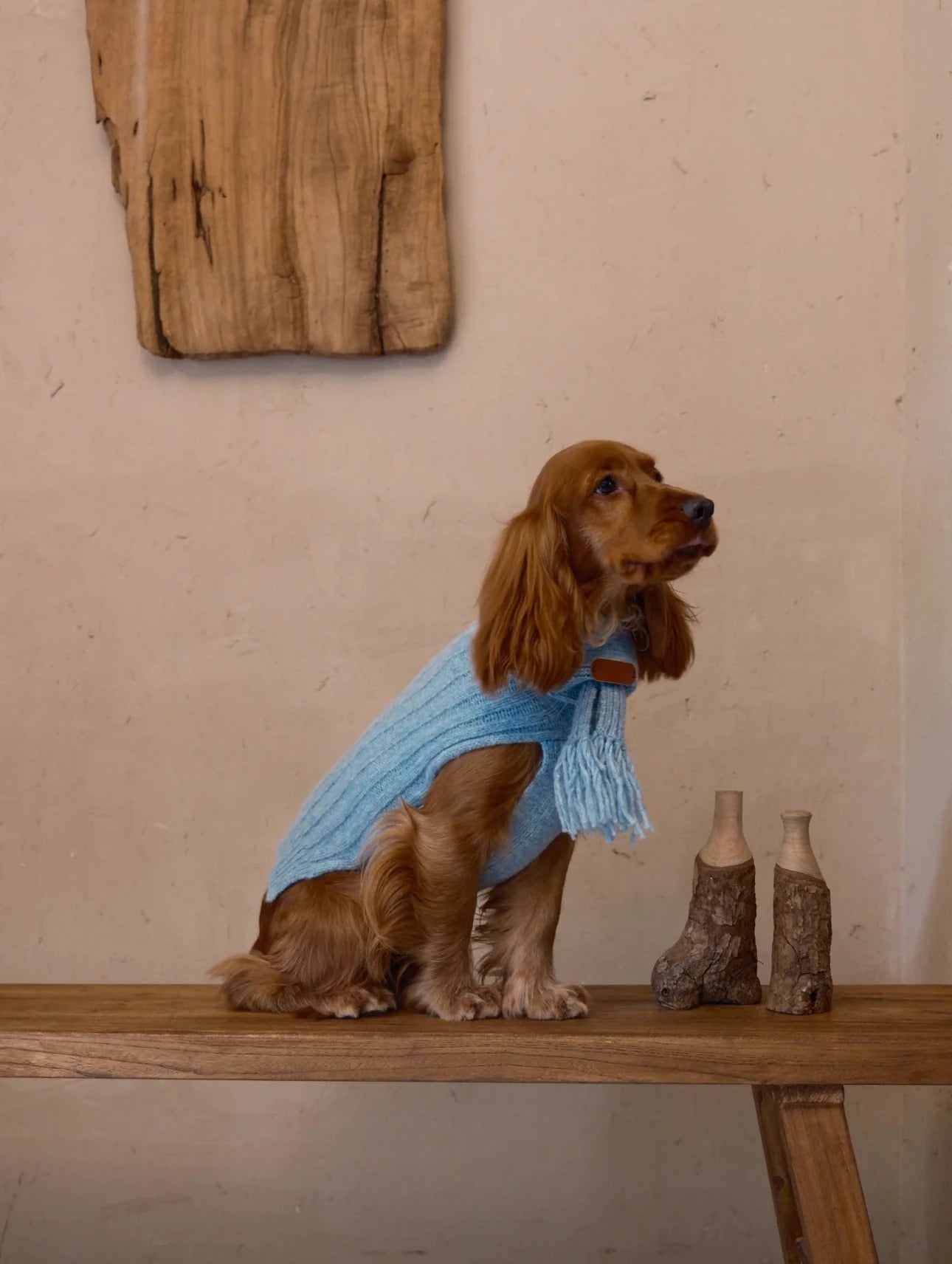 Cloud Sleeveless 100% Wool Sweater for Dogs – Small & Medium Breeds back view | AlphaFluffy