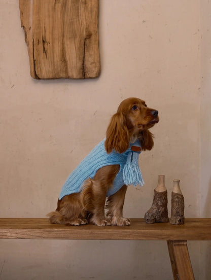 Cloud Sleeveless 100% Wool Sweater for Dogs – Small & Medium Breeds back view | AlphaFluffy