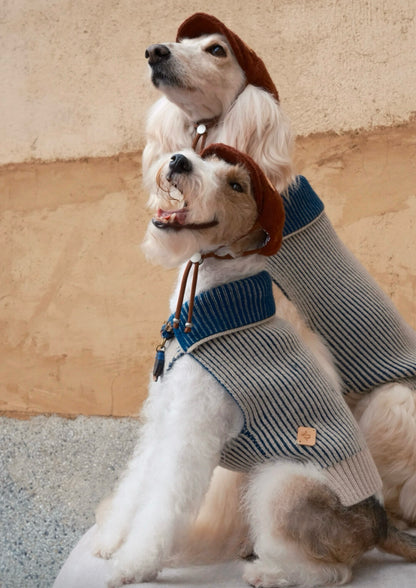 Pet Sweater wool