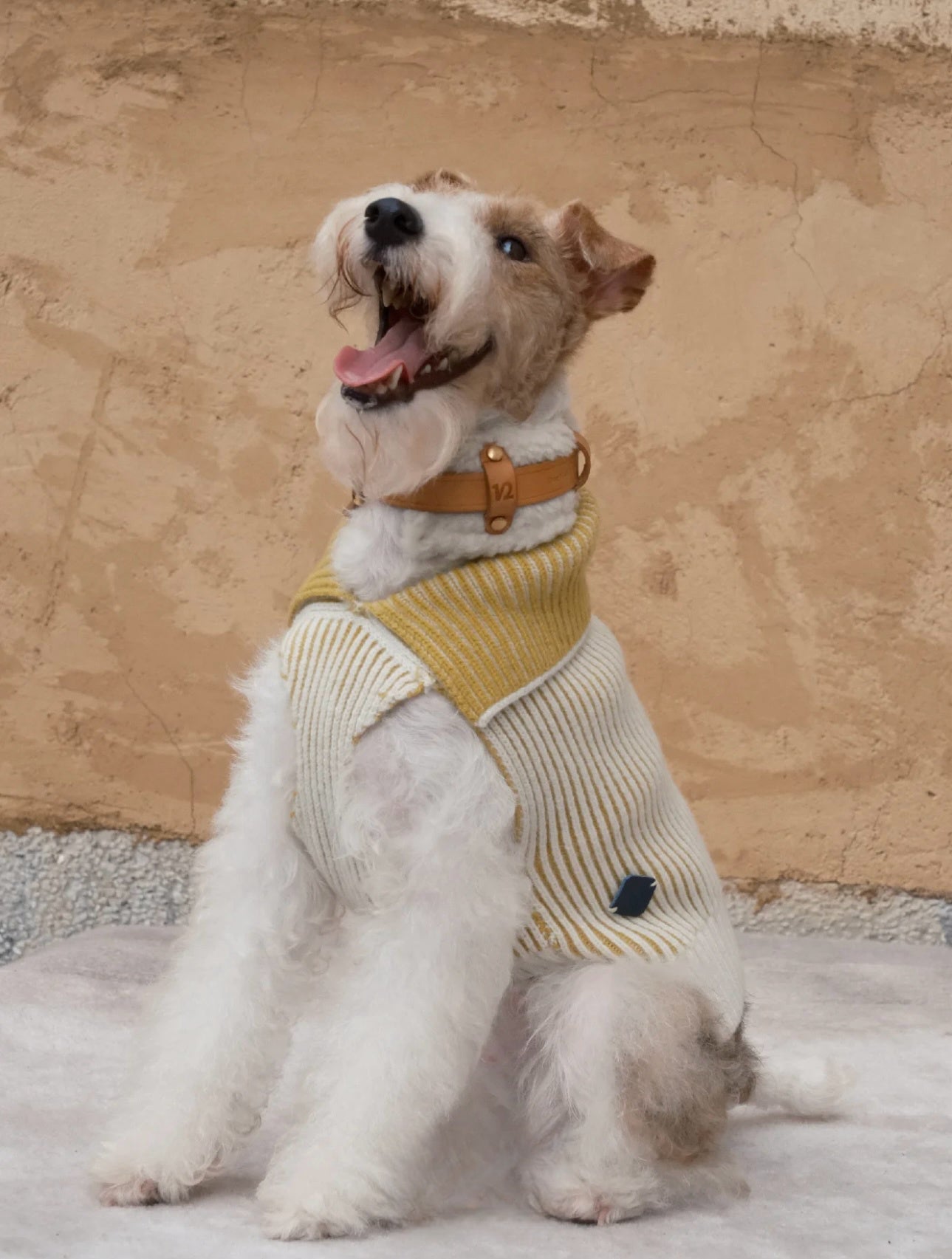 Pet Sweater wool