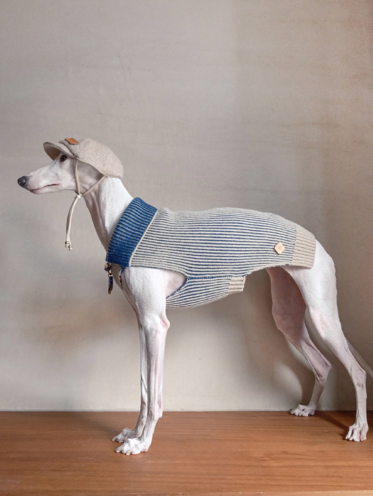 Pet Sweater wool