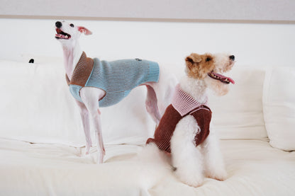 Pet Sweater