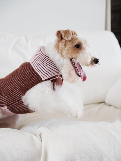 Pet Sweater