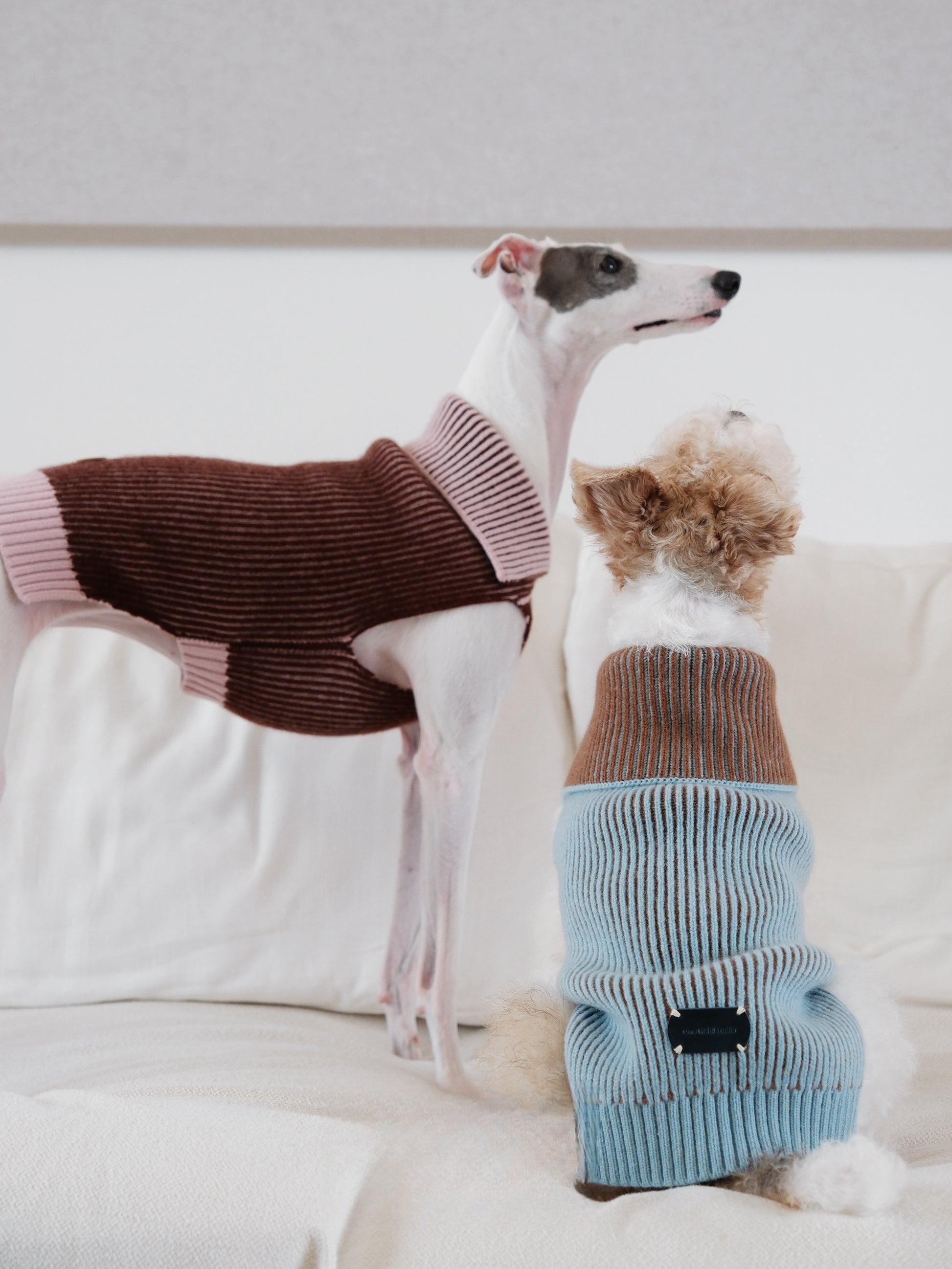 Pet Sweater