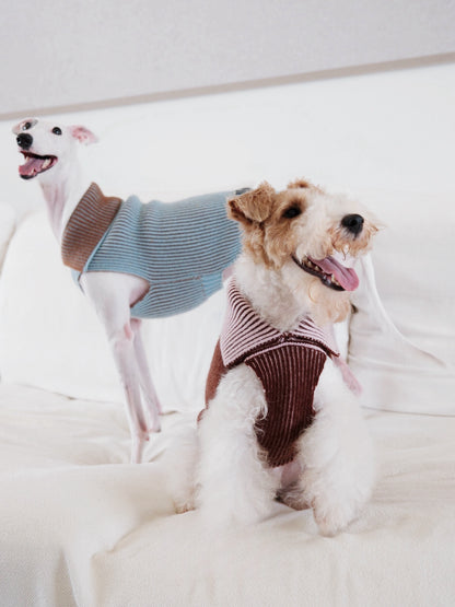 Pet Sweater