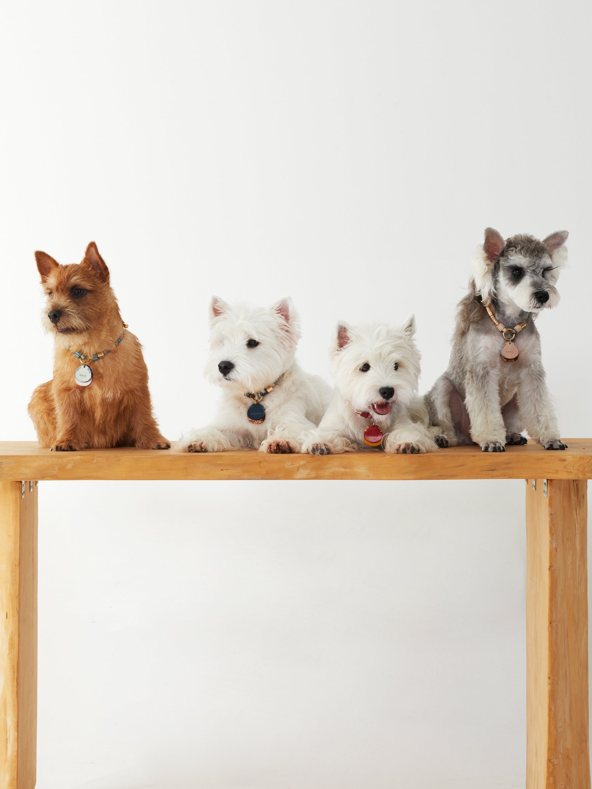 Customized Eggie Pet Name tags for Fluffy - dog art pet id tag pet tags