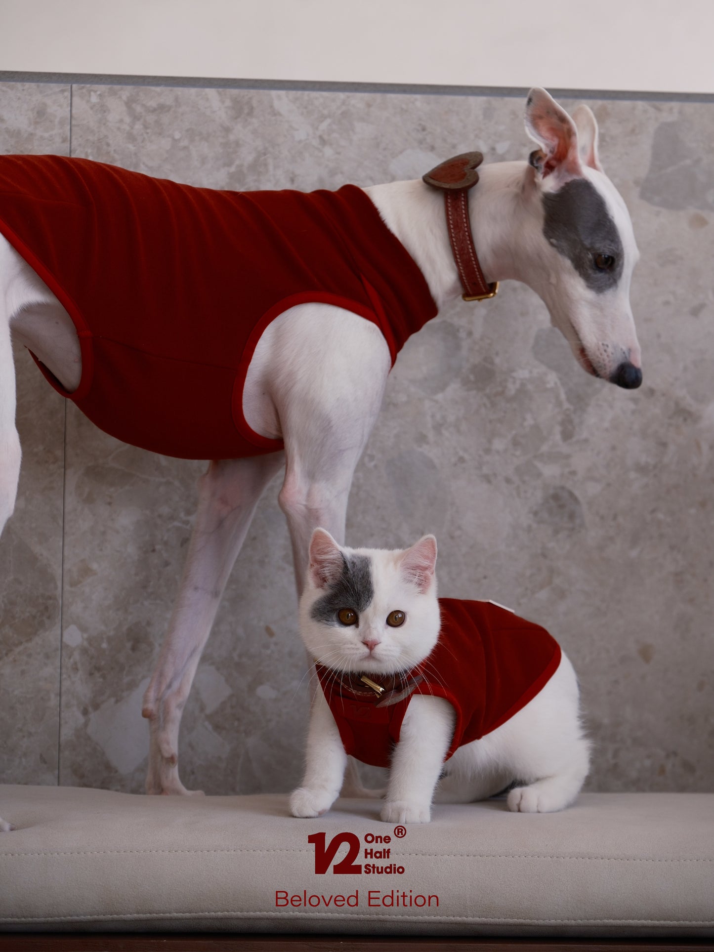 Italian Fujiyama Heart Collar Pet Collar