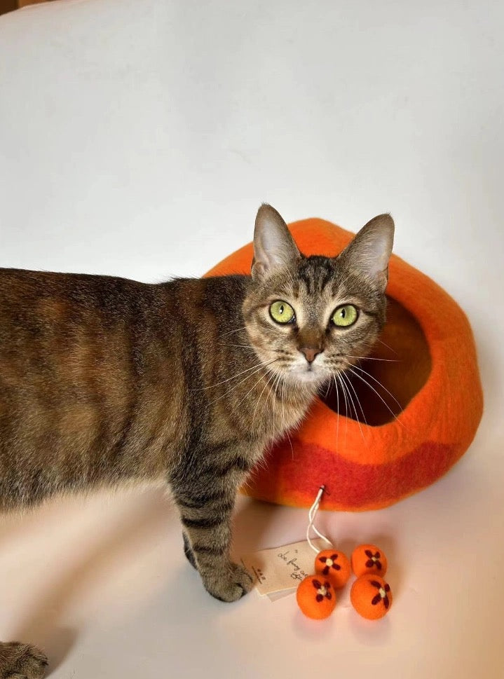 قطه cat toy cat house cat accessories