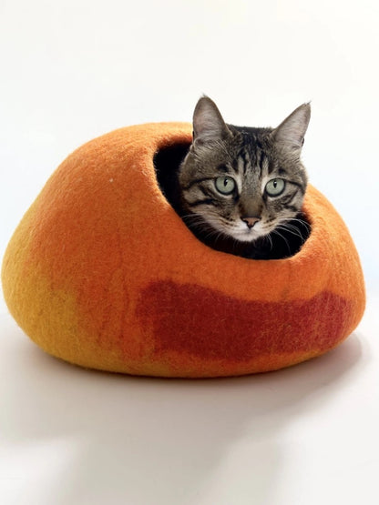 قطه cat toy cat house cat accessories