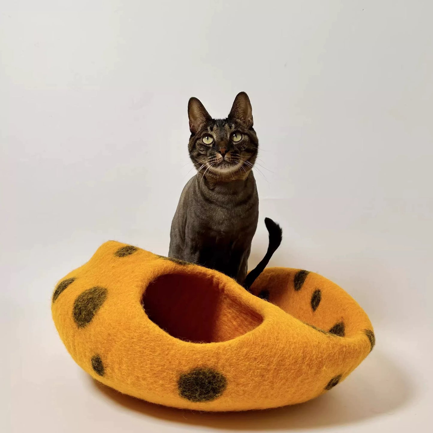 قطه cat toy cat house cat accessories