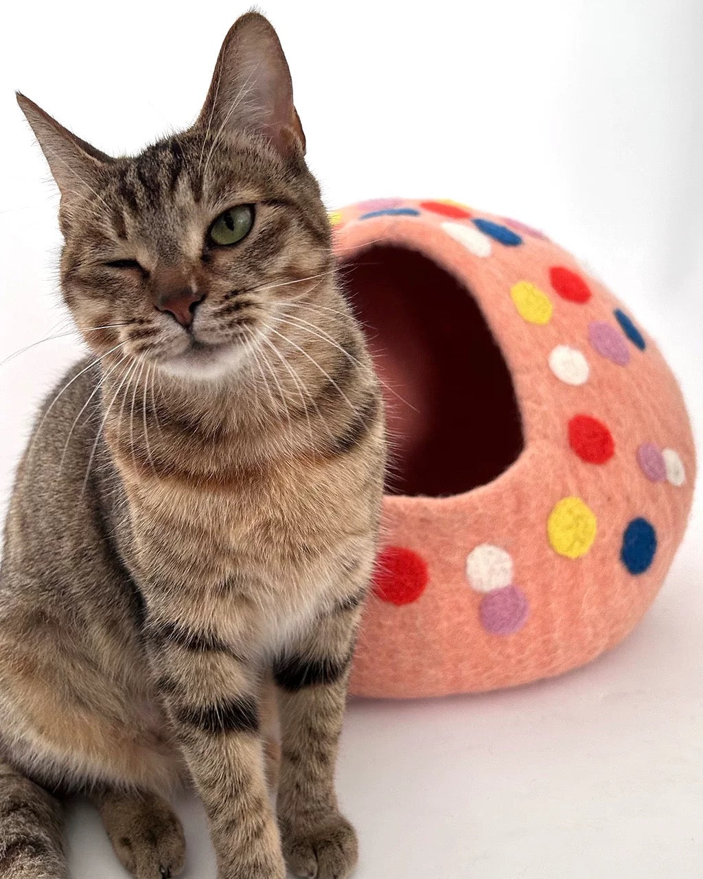 قطه cat toy cat house cat accessories