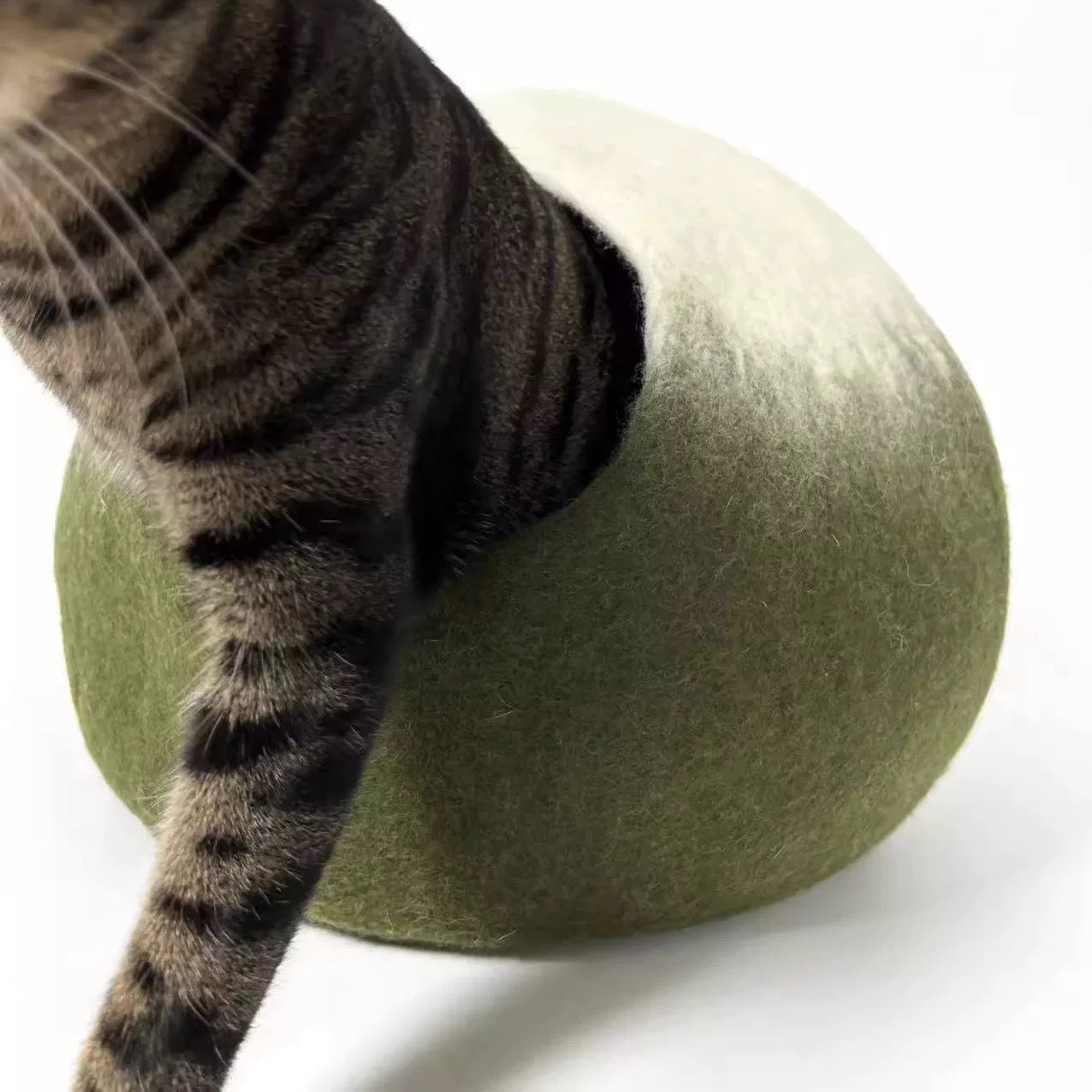 قطه cat toy cat house cat accessories