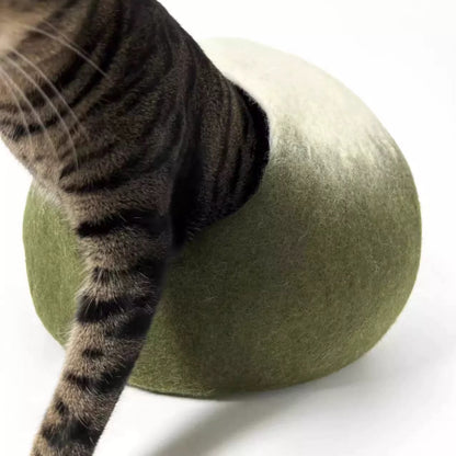 قطه cat toy cat house cat accessories