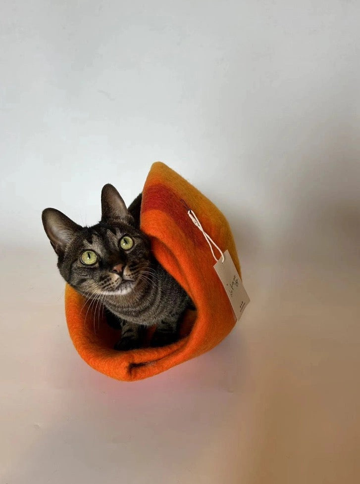 قطه cat toy cat house cat accessories