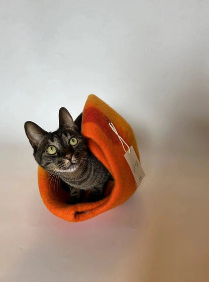 قطه cat toy cat house cat accessories