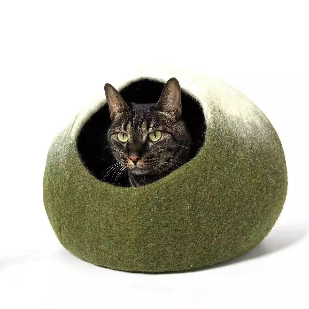 قطه cat toy cat house cat accessories