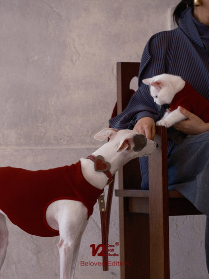 Italian Fujiyama Heart Collar Pet Collar