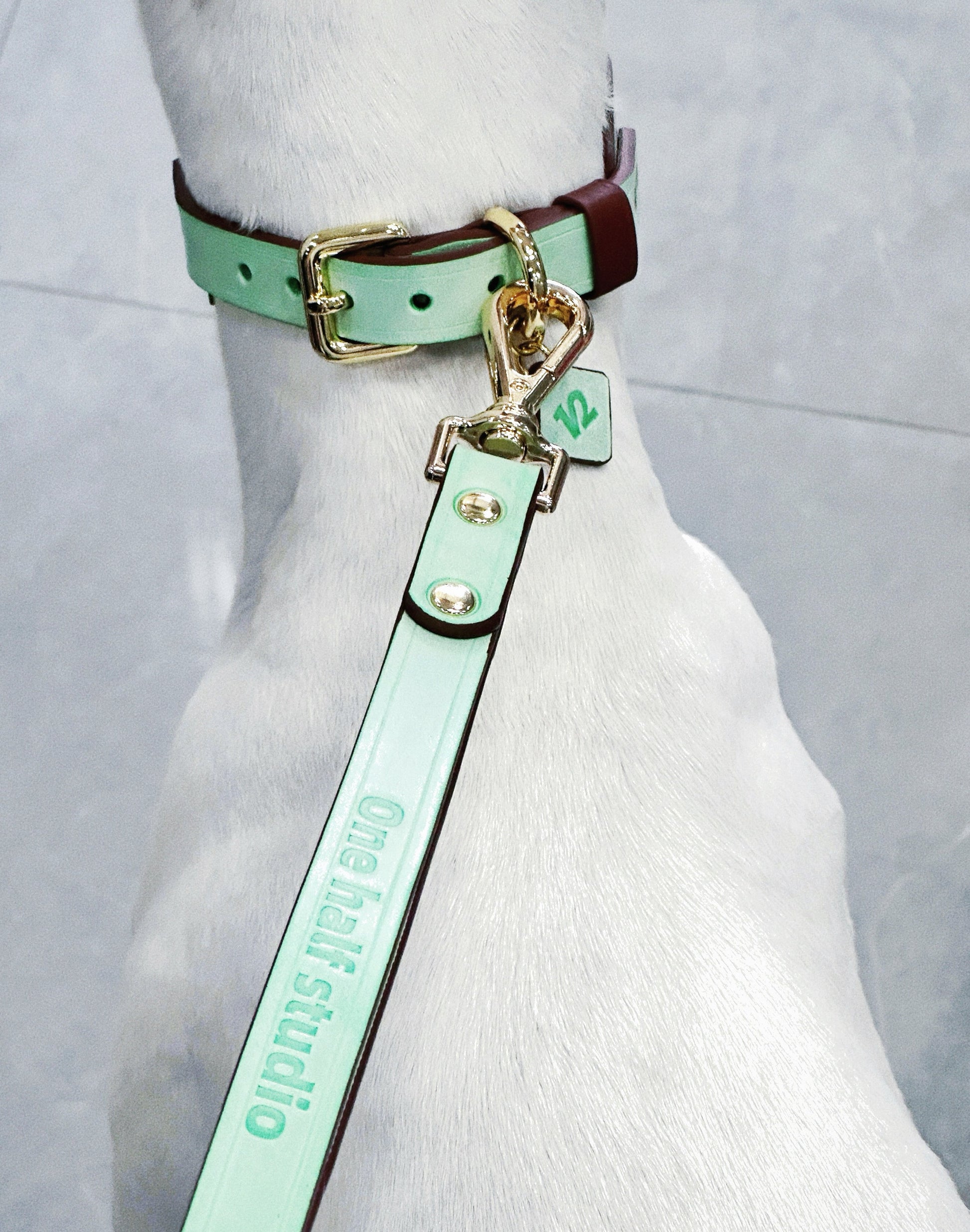 Mint green and smoky brown leather collar with a bow design, featuring Italian handmade craftsmanship. Perfect as a personalized dog collar, designer dog collars, puppy collars, cool dog collars, cute dog collars, leather collar, and cat collar for stylish pets.