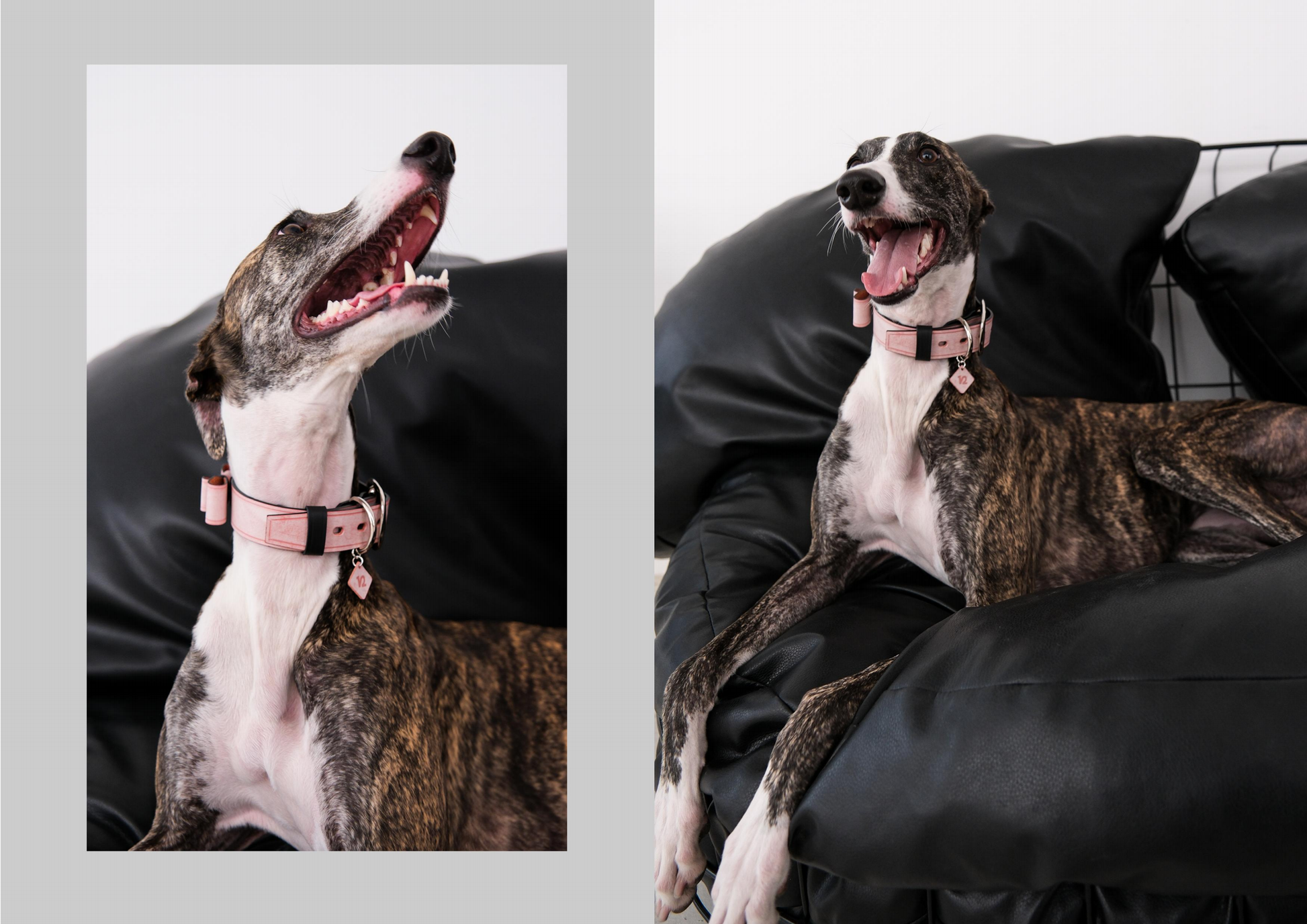 Black Pink leather dog collars with a bowtie design, featuring Italian handmade craftsmanship. Perfect as a personalized dog collar, designer dog collars, puppy collars, cool dog collars, cute dog collars, leather dog collars, and cat collar for stylish pets.