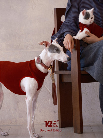 Italian Fujiyama Heart Collar Pet Collar