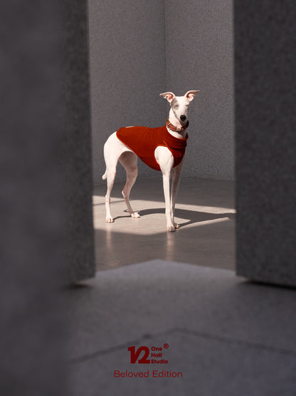 Italian Fujiyama Heart Collar Pet Collar