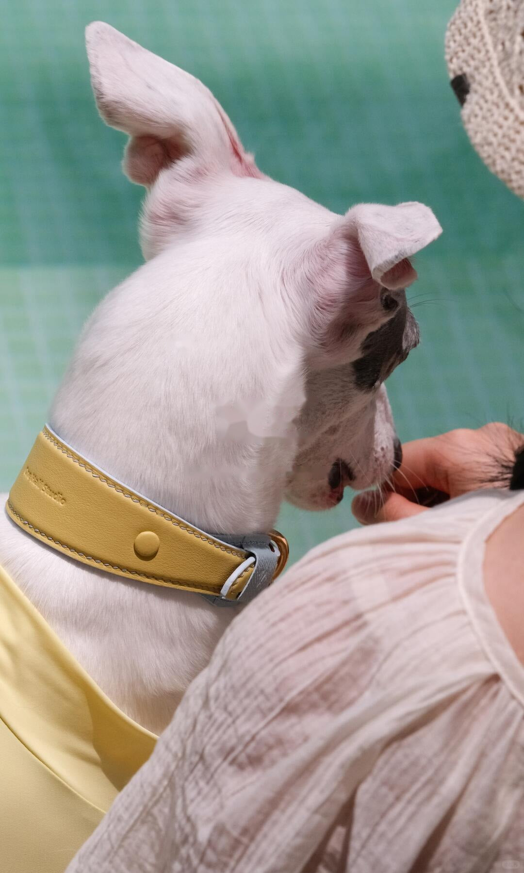 One Half Studio — Sunny Lemon Blue