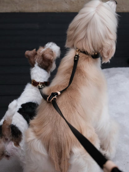 leather dual pet leash